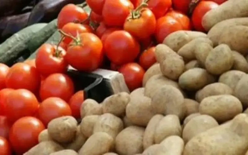 الطماطم بـ25 جنيها.. أسعار الخضروات والفاكهة اليوم السبت بكفر الشيخ